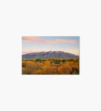 The Sandias and the Rio Grande Bosque II Art Board