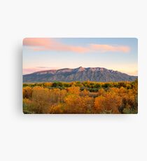 The Sandias and the Rio Grande Bosque II Canvas Print