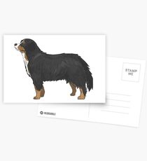 Bernese Mountain Dog Illustration Silhouette Postcards