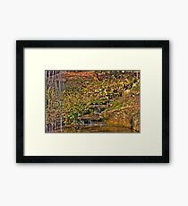 A walk in the park. Framed Print