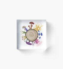 Bloque acrílico Viernes Fungidoodle!