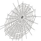 Spider web #Spider #web #SpiderWeb #structure #lineart #symmetry #circle #illustration #chalkout #design #vector #abstract #art #shape #vertical #whitecolor #bright #copyspace #drawingartproduct by znamenski