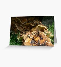 CRUSTY Greeting Card