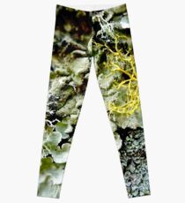 Nordisches Moos Leggings