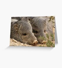 Happy as two Pigs in....... Greeting Card