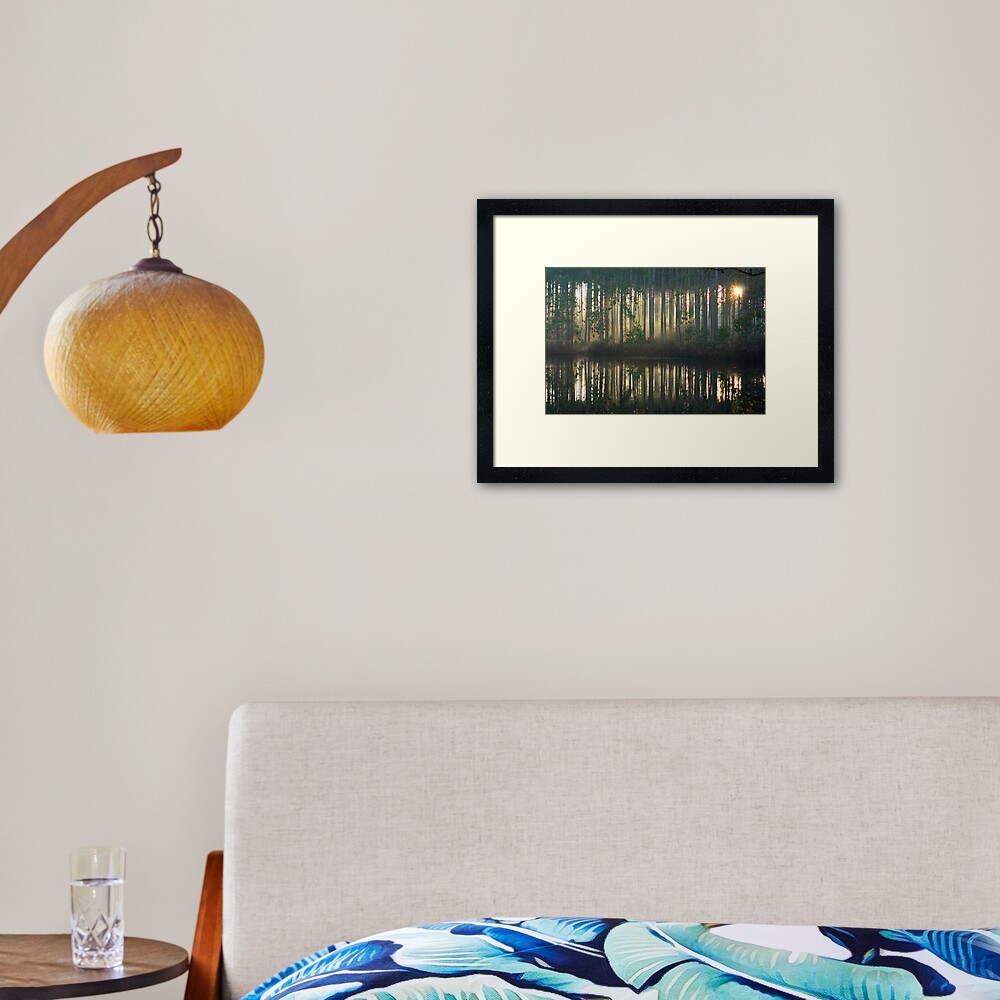Echo~Totogatic Park, Minong, Wisconsin Framed Art Print