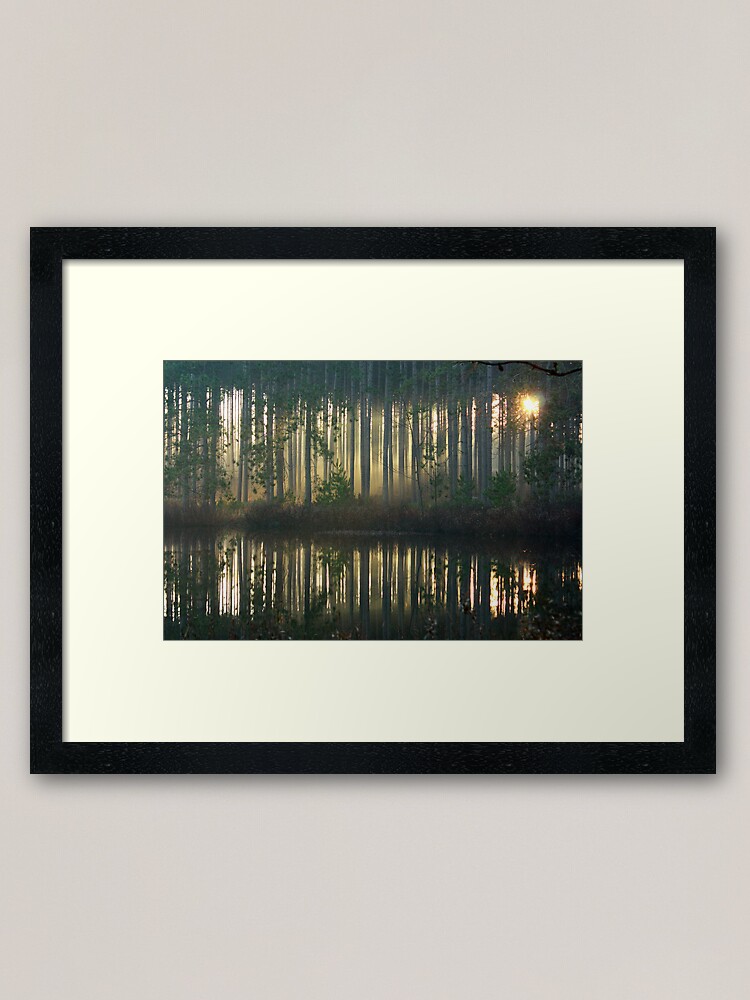 Alternate view of Echo~Totogatic Park, Minong, Wisconsin Framed Art Print