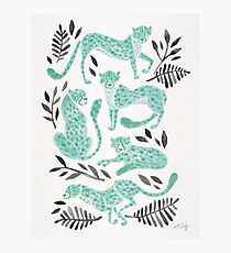 Cheetah Collection – Mint & Black Palette Photographic Print