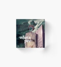 What a pity Acrylic Block