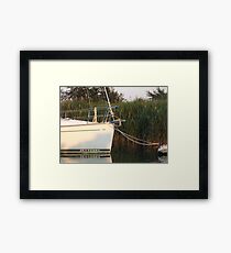 Bows Framed Print