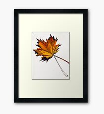 Fall Leaf (Yellow) Framed Print