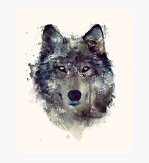 Wolf // Persevere Photographic Print