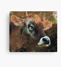 pretty cow Canvas Print