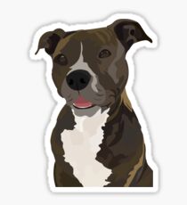 Pitbull Sticker, Pit Bull Stickers, American Staffordshire Terrier, Staffordshire Bull Terrier, American Pit Bull Terrier Sticker