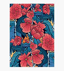 Red flowers Photographic Print