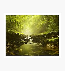 fairyland Photographic Print