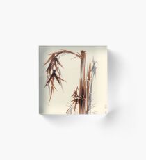 Huntington Gardens Plein Air Bamboo Drawing #1 Acrylic Block