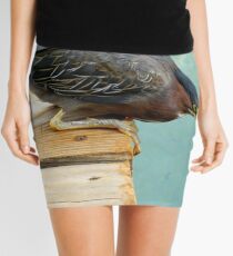 Green Heron Zeroing in on Fish Mini Skirt
