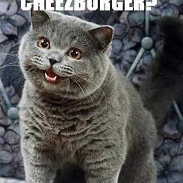 wat u mean wat r u wearin? Iz a cat. - Cheezburger - Funny Memes