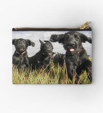 Incoming! Studio Pouch