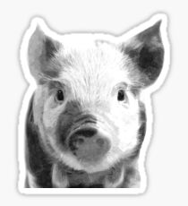 Black and White Pig Sticker
