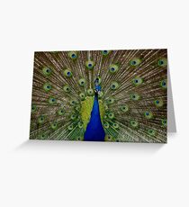 The Peacock Greeting Card