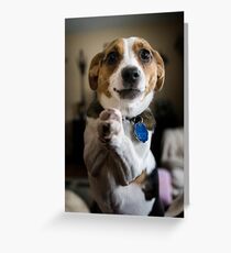 PLEEEEEEASE! Greeting Card
