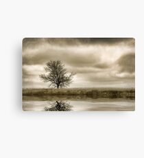 Desolate Canvas Print