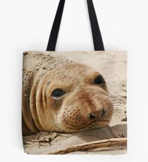 Young Elephant Seal Tote Bag