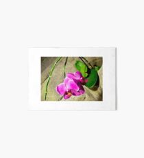 Wallflower Art Board