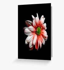 Xanth Greeting Card