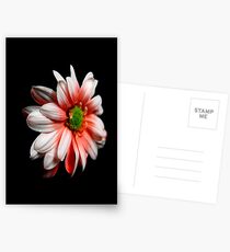 Xanth Postcards