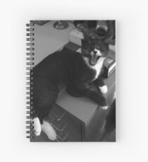 Leave me alone... Spiral Notebook