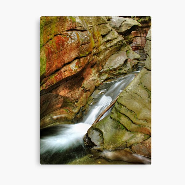 Water Chute Canvas Print