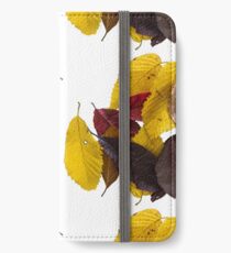 fallen leaves iPhone Wallet/Case/Skin