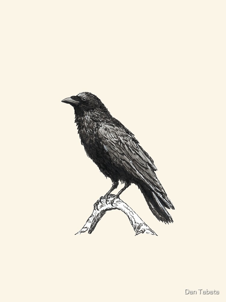 Raven M by Dan Tabata