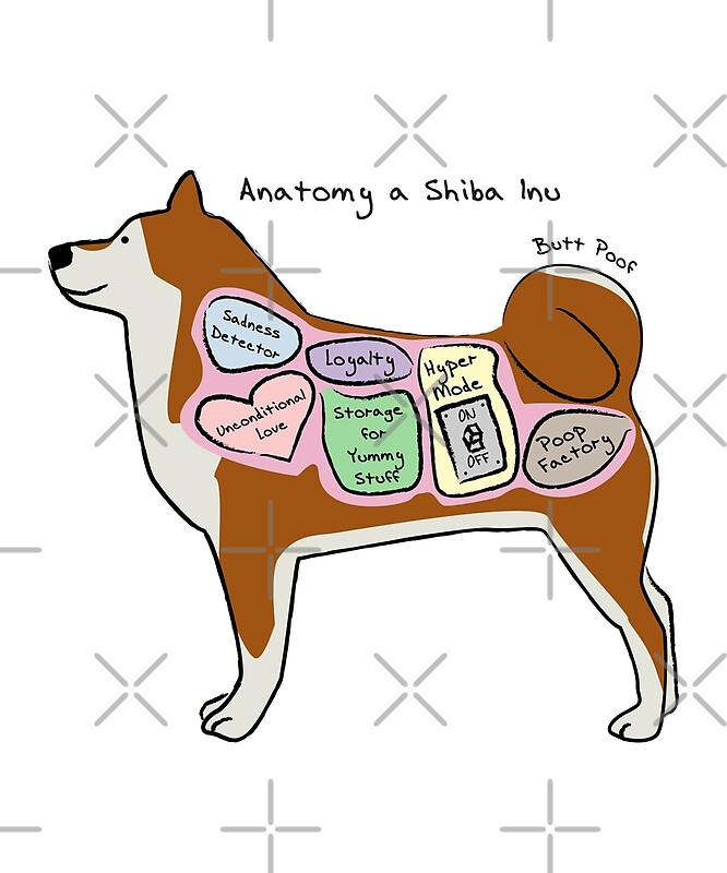 "Anatomy of a Shiba Inu " by MommySketchpad Redbubble