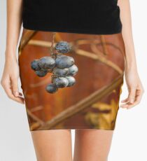 Circle Game Mini Skirt