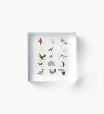 Birds Acrylic Block