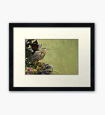 Great Blue Heron Framed Print