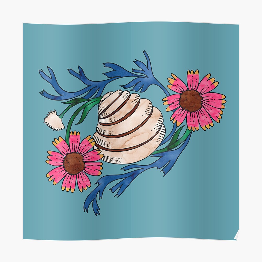 Pawleys Island Shell Poster