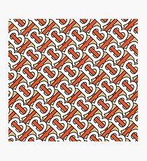 burberry Photographic Print