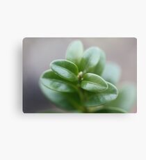 Topiary Metal Print