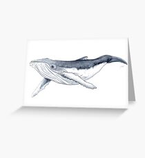 Humpback whale baby Greeting Card