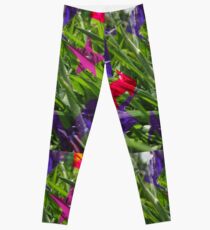 naturefiti Leggings
