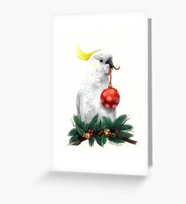 christmas Cockatoo Greeting Card