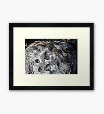 Rock Framed Print