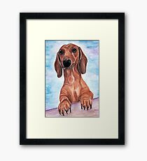 dachshund Max Framed Print
