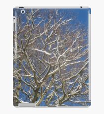 Snowy Branches iPad Case/Skin