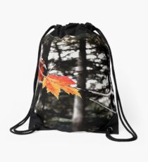 Lincoln Woods Leaves Drawstring Bag